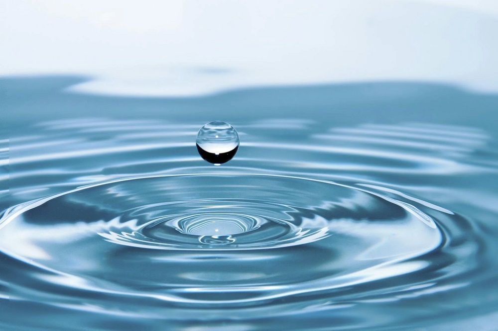 Water Bill